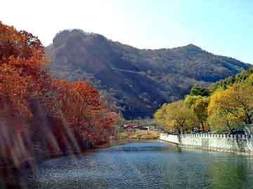 新澳天天开奖资料大全旅游团，泾阳seo培训